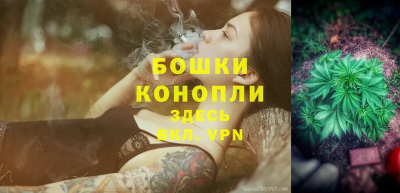 Шишки марихуана SATIVA & INDICA  кракен как войти  Дигора 